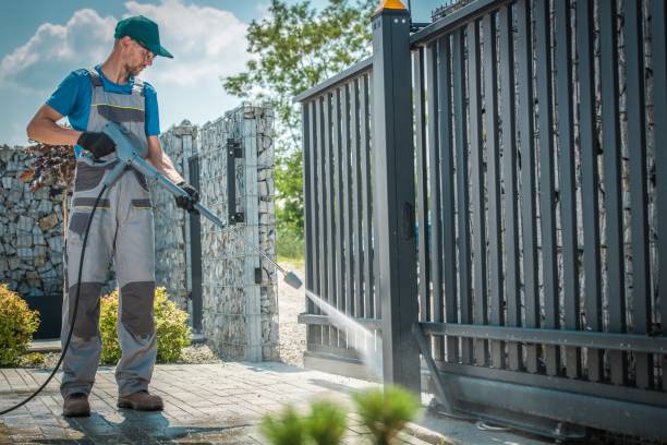 Best House Exterior Washing  in Dayton, MN